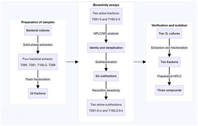 Bioprospecting of inhibitors of EPEC virulence from metabolites of marine actinobacteria from the Arctic Sea